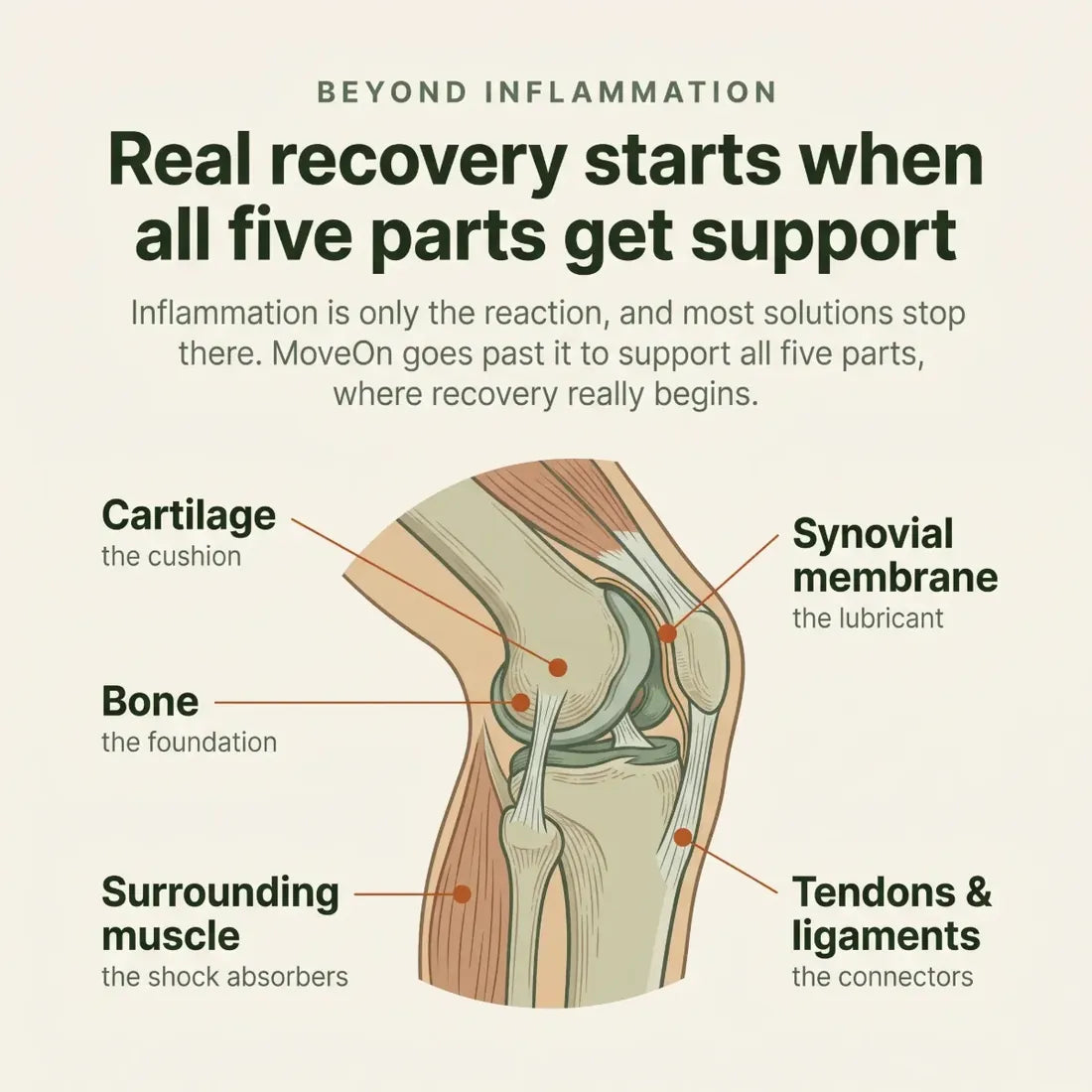 All five parts of the joint that MoveOn supports